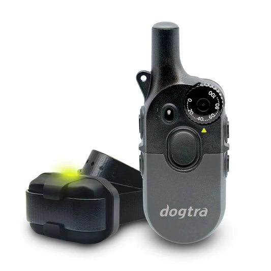 Dogtra 200 iQ