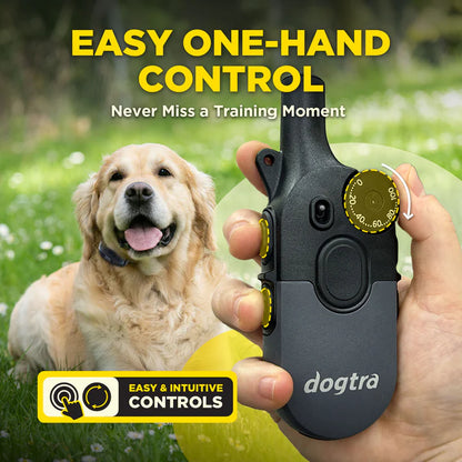 Dogtra 200 iQ