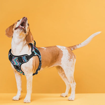 Dogline Quest Multi-Purpose No Pull Dog Harness