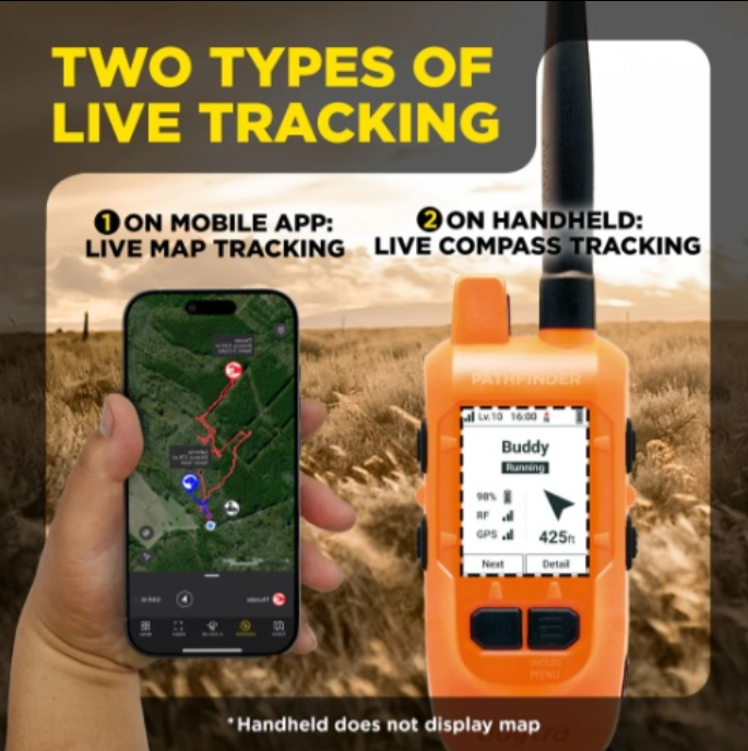 Dogtra Compass 3