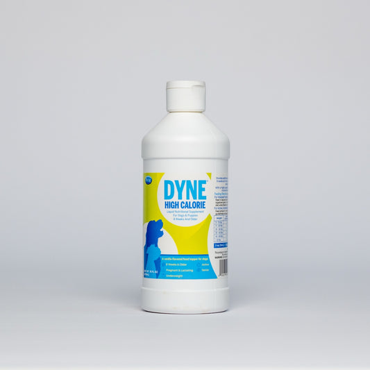 Dyne - High Calorie High Fat Supplement