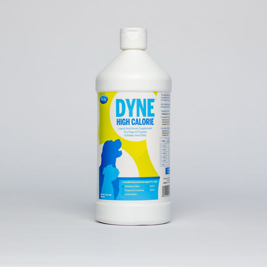 Dyne - High Calorie High Fat Supplement