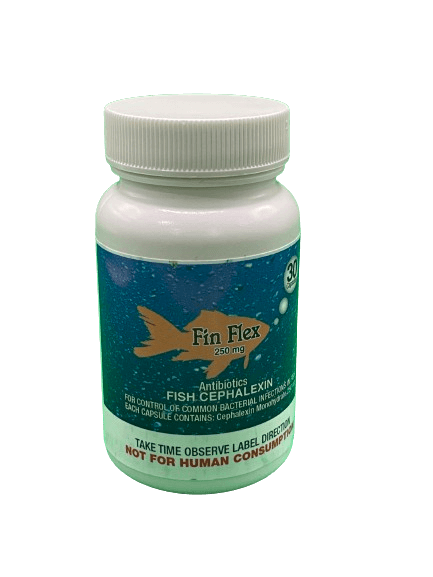 Fish Flex - Cephalexin - 250mg - 30ct - OKIE DOG SUPPLY