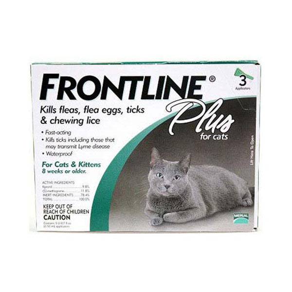 Thumbnail for Flea Control For Cats In Oklahoma