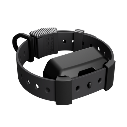 Black dog collar with electronic device on a white background