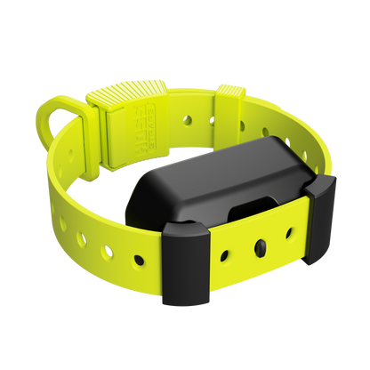 Yellow dog collar with a black electronic device on a white background