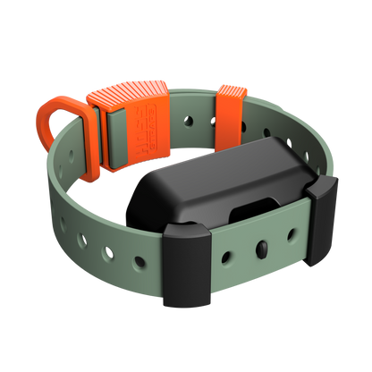 Hoss Straps Training Collar Setup