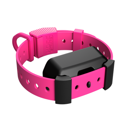 Pink dog collar with a black electronic device on a white background