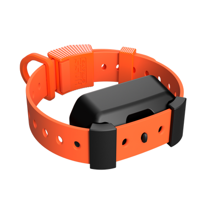 Orange dog collar with a black device on a white background