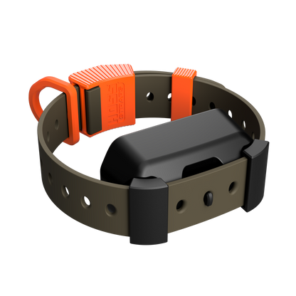 Dog collar with an orange buckle on a white background
