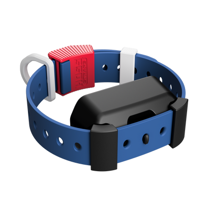 Blue dog collar with a red and gray device on a white background