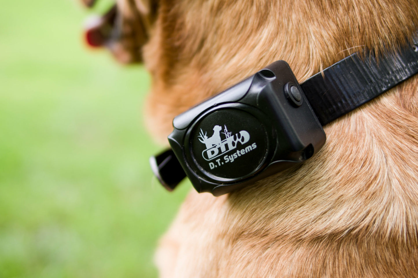 DT Systems H2O - Add On Collar