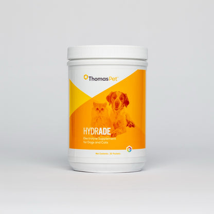 HydrADE Powder Packets - Singles