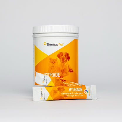 HydrADE Powder Packets - Singles