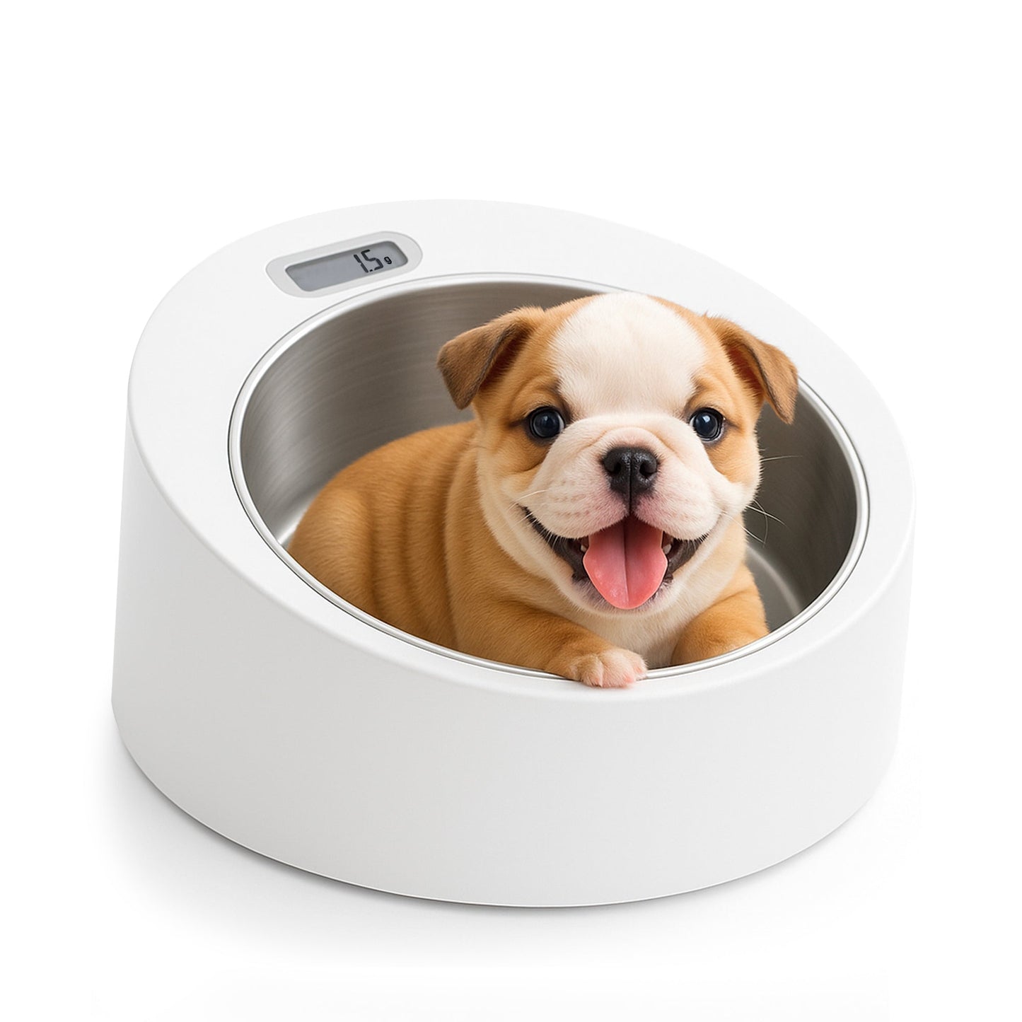 Neo Natal Puppy Scale