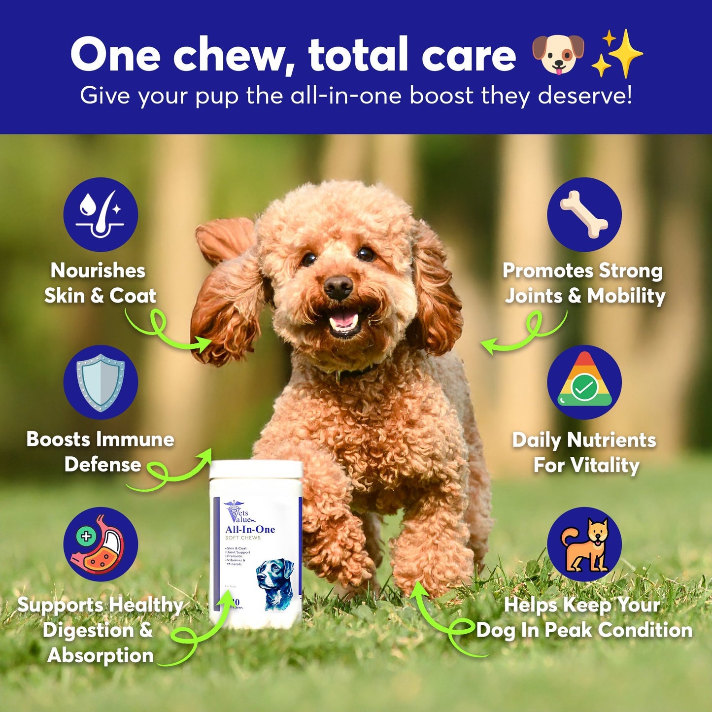 Dog Multivitamin Chews with Glucosamine - 120ct Soft Chews