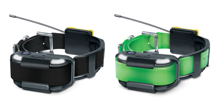 Dogtra Pathfinder2 Dog Device Full Size Track/Train