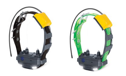 Dogtra Pathfinder2 Mini Dog Device - Track/Train