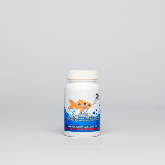Fish Mox - Amoxicillin 500mg - 30ct