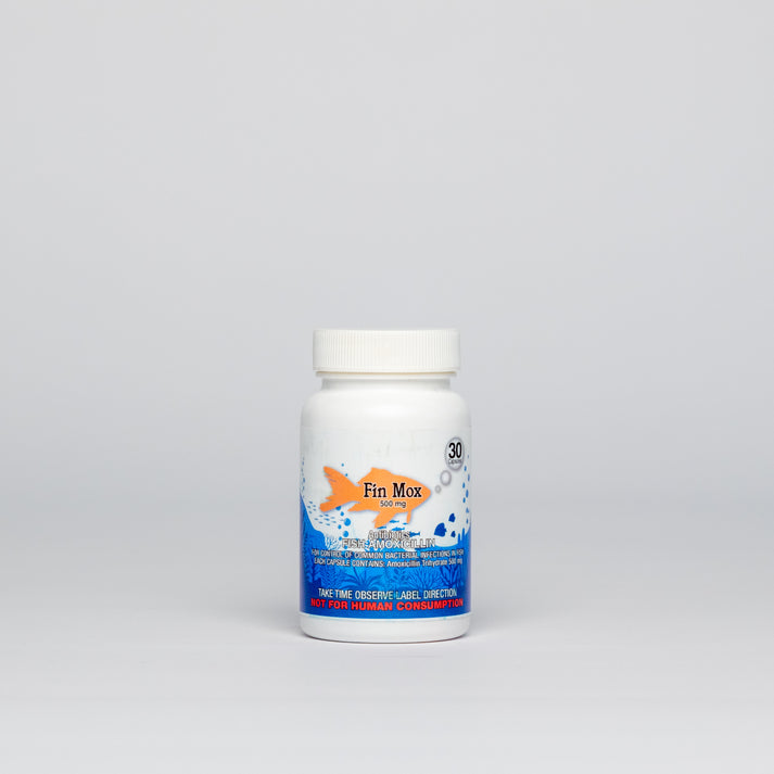 Fishbiotics Amoxicillin | Fish Mox | Okie Dog Supply – OKIE DOG SUPPLY