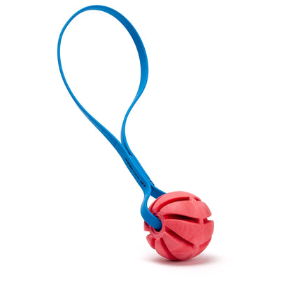 Rubber Spiral Ball with Biothane Handle