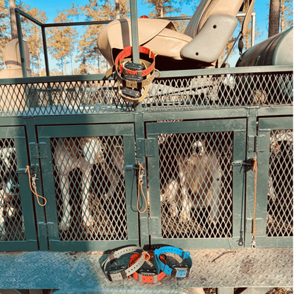 Dog crates with dog collars on a metal stand outdoors