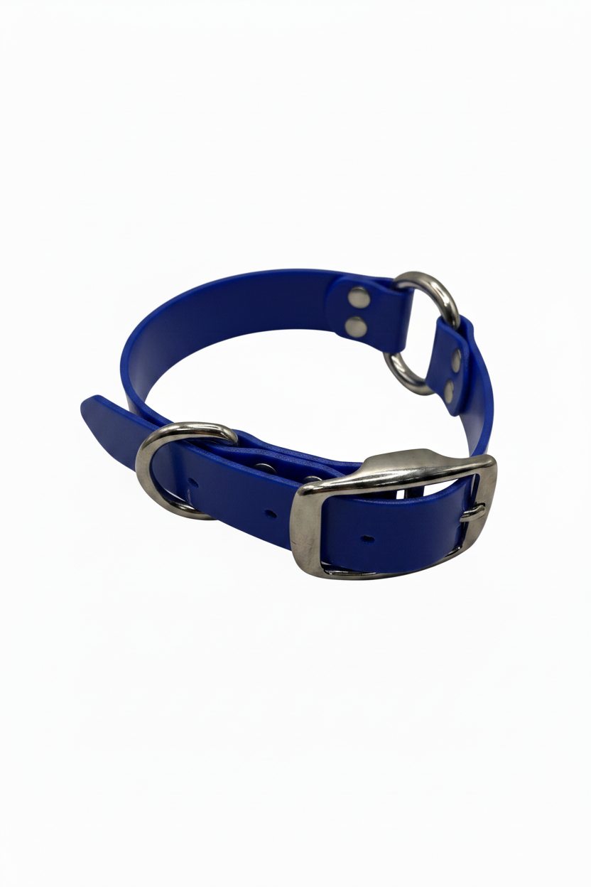 SOLID COLLAR 1 INCH STND BLUE