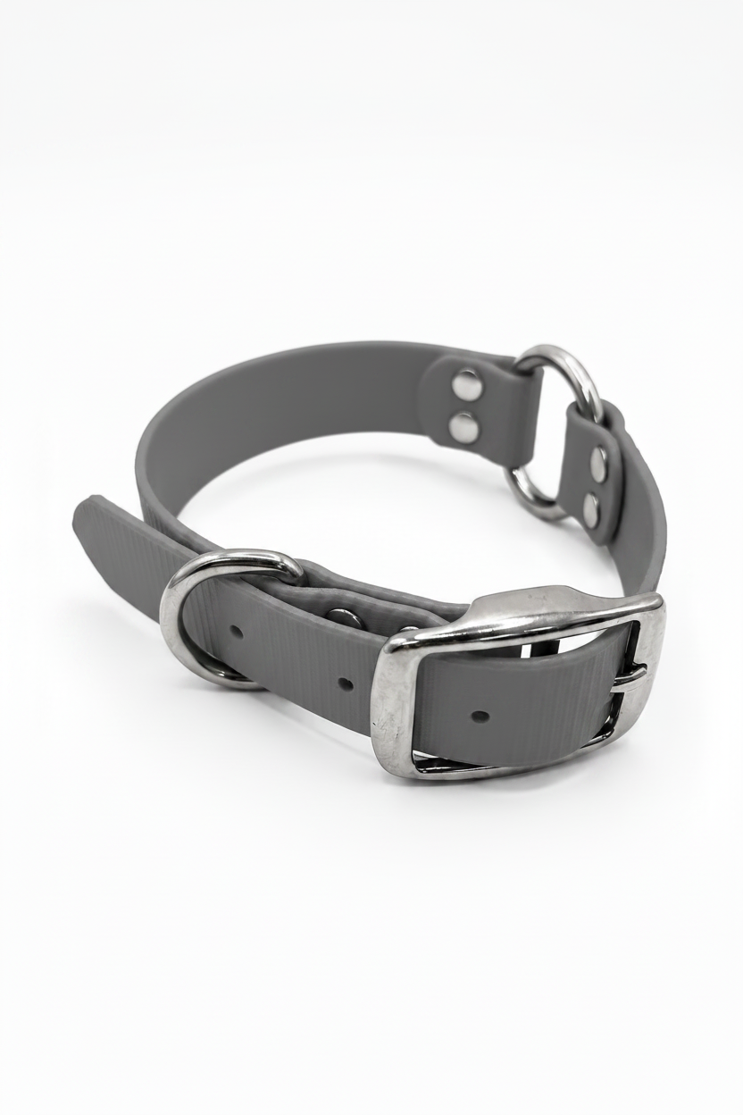 SOLID COLLAR 1 INCH STND SILVER