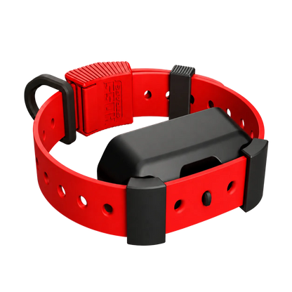 Hoss Straps Training Collar Setup