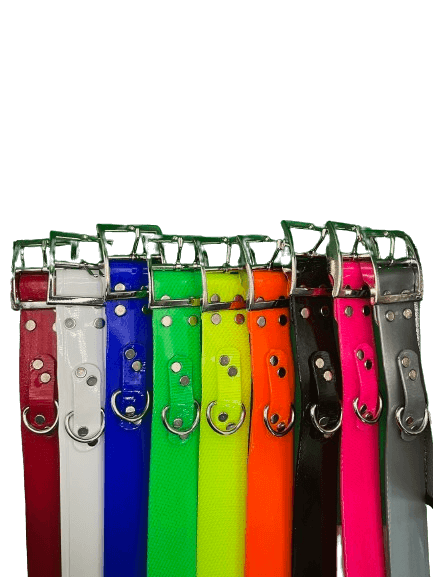 AKC Field Trial Collars - 1.5 Inch - With Tuff D - 9 pack - OKIE DOG SUPPLY