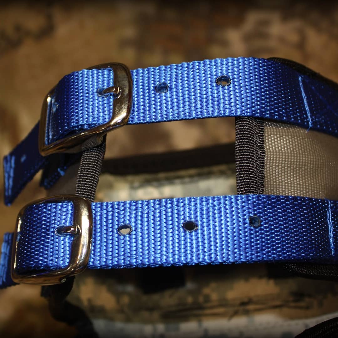 Aussie Style Pro Plate- Attached Collar Seatbelt - OKIE DOG SUPPLY