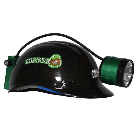 Big Dog Bandit Light