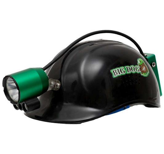 Big Dog Revolution Light