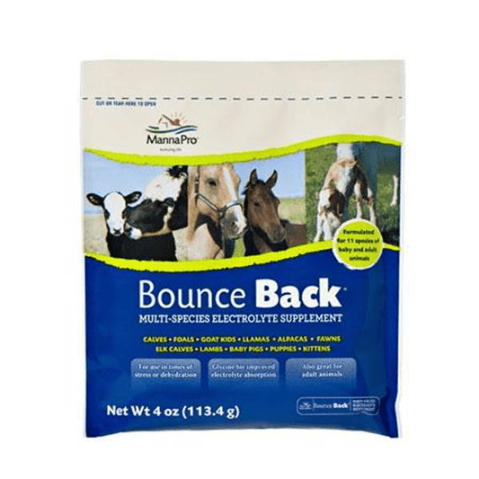 Bounce Back Electrolytes - 4oz Singles - OKIE DOG SUPPLY