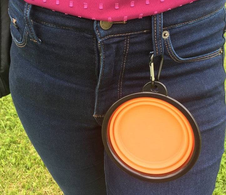 Collapsible Travel Bowl With Carabiner - OKIE DOG SUPPLY