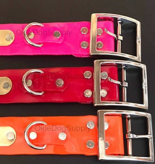 1.5 inch-solid-dayglo-collar