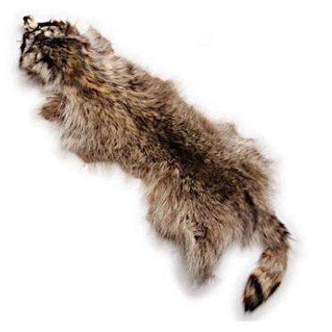 Coon Fur Training Drag - OKIE DOG SUPPLY