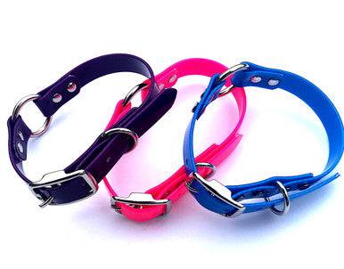 1 Inch Solid Dayglo Dog Collars - Standard Build - OKIE DOG SUPPLY