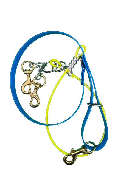 Blue dayglo lead with yellow cable two dog