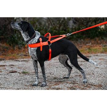 Roading Harness - Padded - OKIE DOG SUPPLY