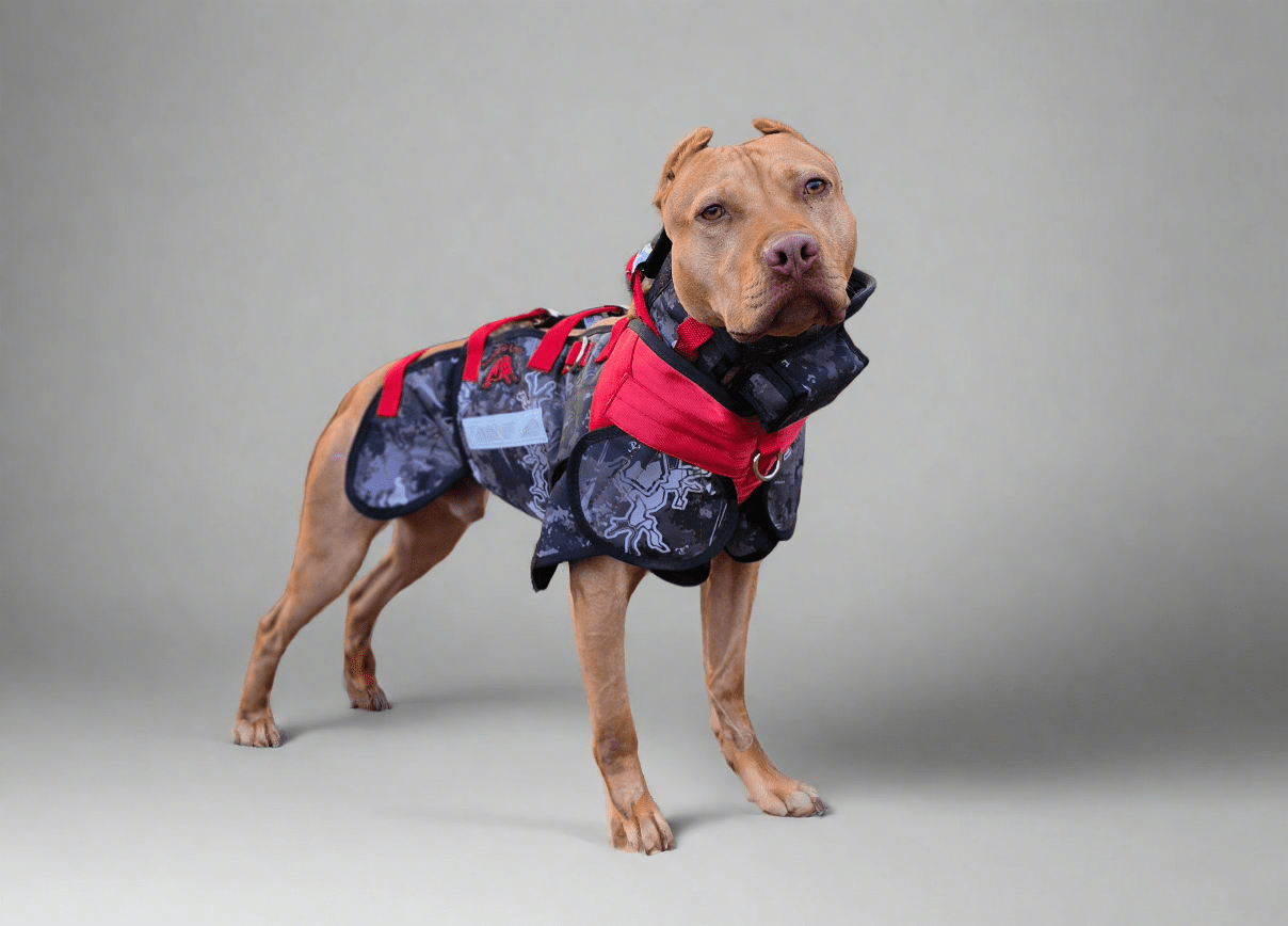 Elite Catch Vest PRO- Attached Collar Extreme Protection - OKIE DOG SUPPLY