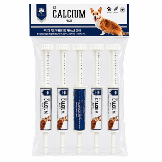 KB Calcium Paste for whelping female dogs, shown in a clear plastic bag with five syringes