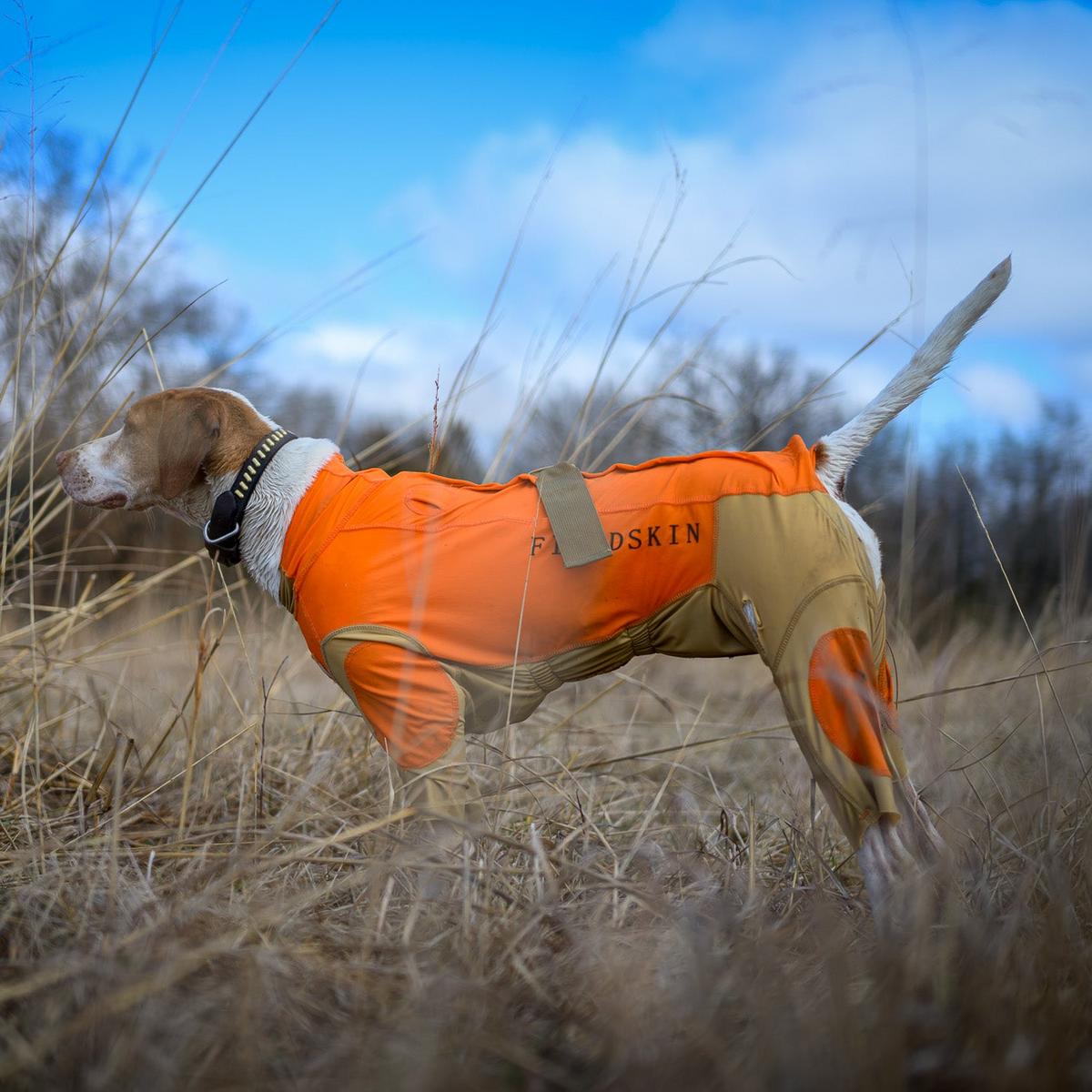 FieldSkin® Blaze Orange Suit
