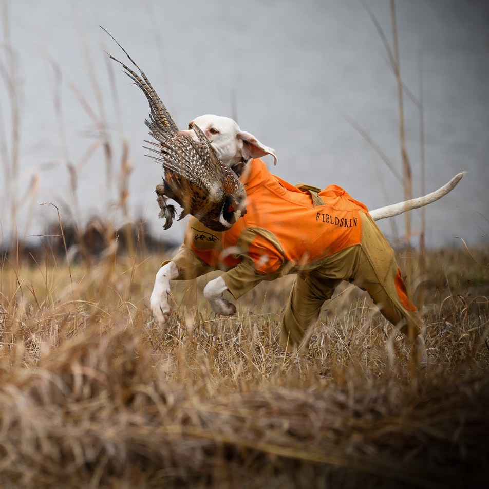 FieldSkin® Blaze Orange Suit