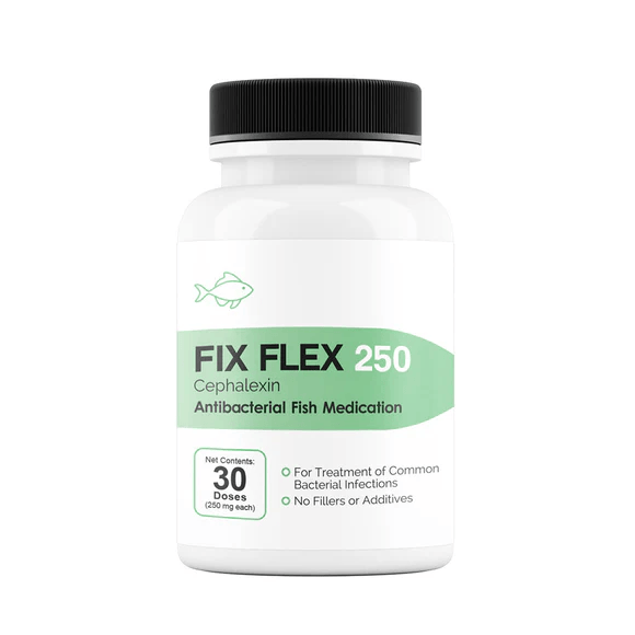 fix flex antibilotic 250mg 30ct