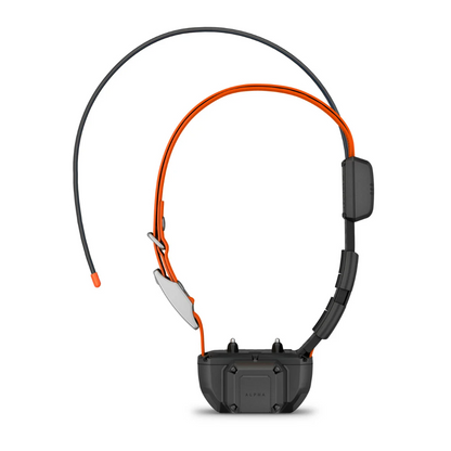 garmin tt25 beeper battery pack attached to a garmin tt25collar