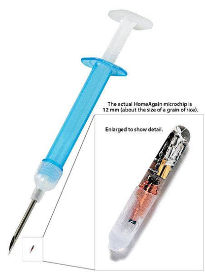 Temperature Home Again Dog Chip The Heat Can Be Dangerous For Your