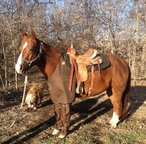 Mule Briarproof Chaps for Horses or Mules - OKIE DOG SUPPLY