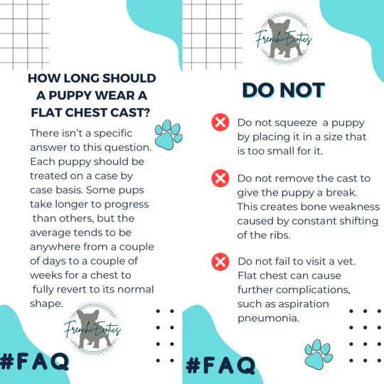 Puppy Flat Chest Protector And Treatment