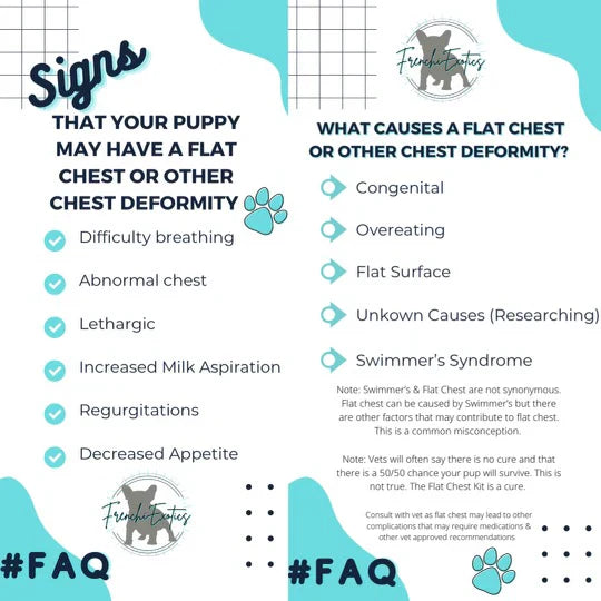 Puppy Flat Chest Protector And Treatment